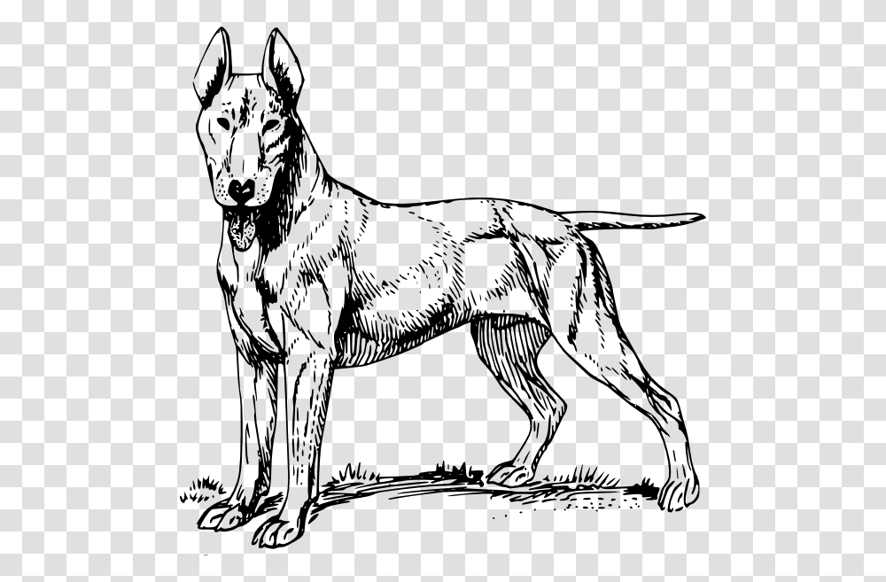 Bull Terrier Clip Art Free Vector, Mammal, Animal, Dog, Pet Transparent Png