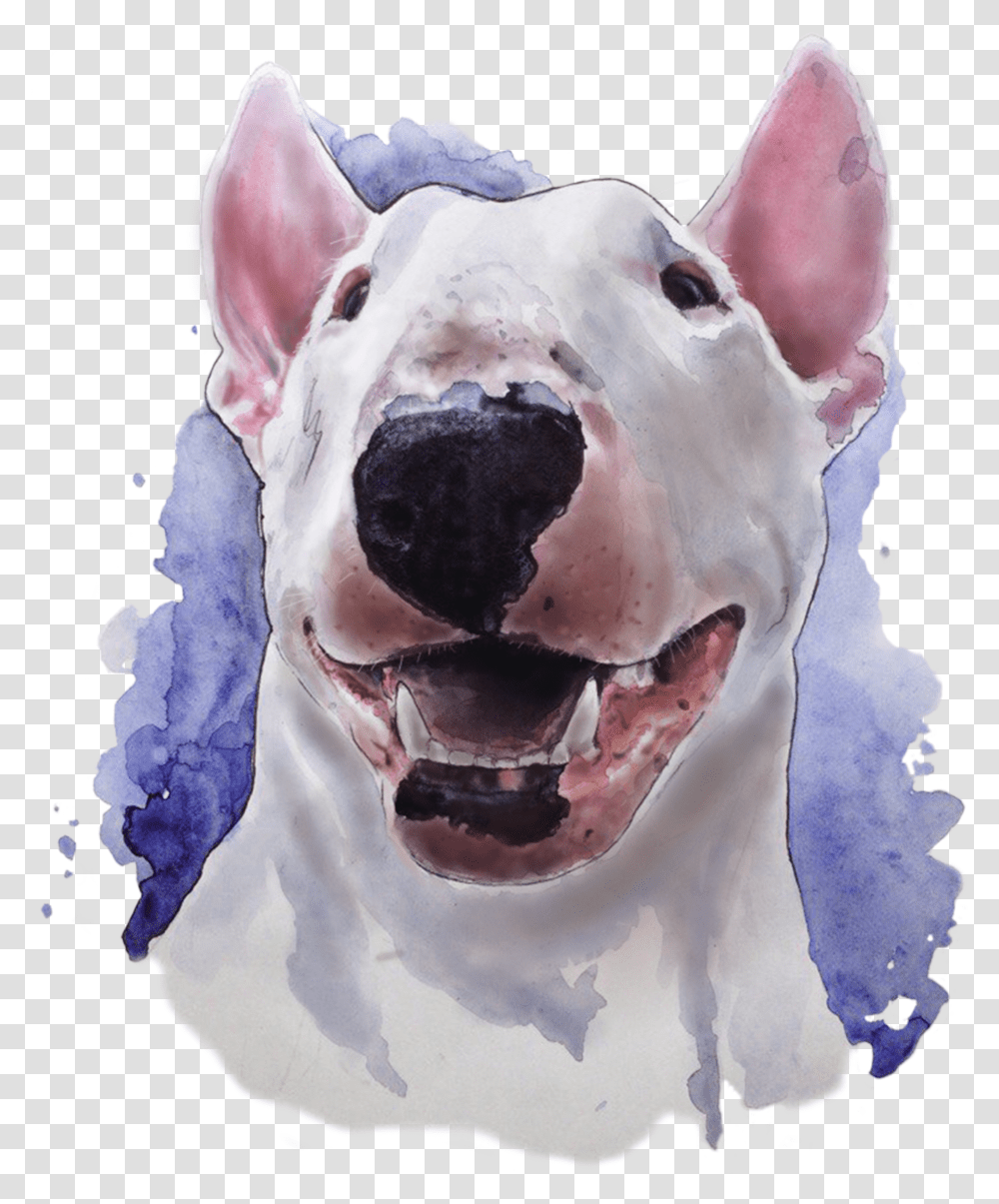 Bull Terrier Watercolor Watercolor Bull Terrier Transparent Png