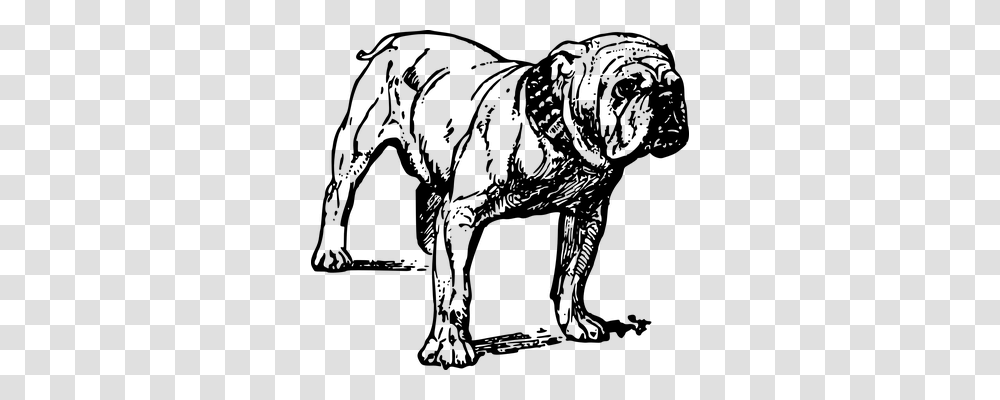 Bulldog Animals, Gray, World Of Warcraft Transparent Png