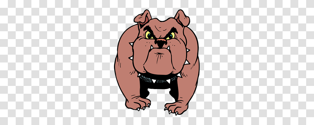 Bulldog Emotion, Face, Mammal, Animal Transparent Png