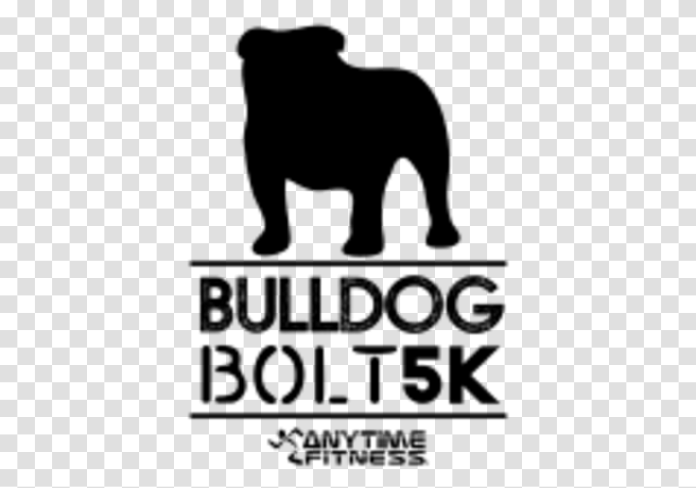 Bulldog Bolt 5k 1mi Pet Walk Anytime Fitness, Gray, World Of Warcraft Transparent Png