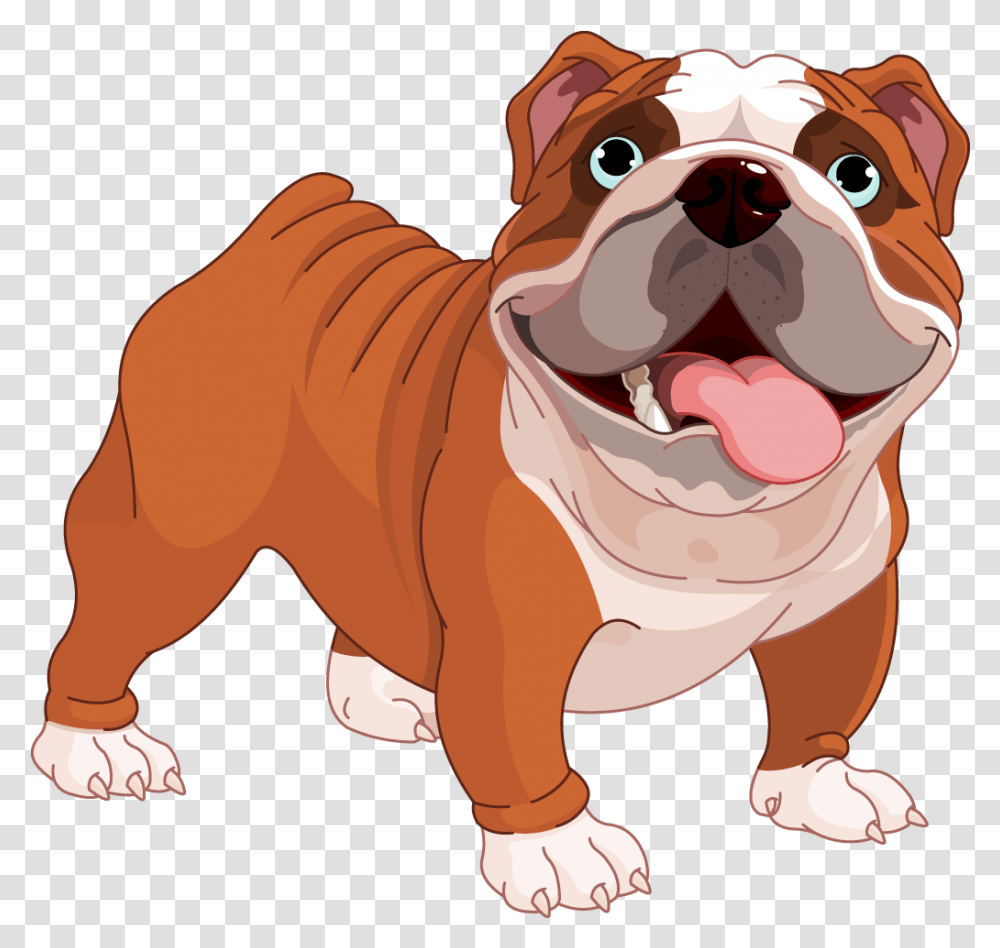 Bulldog Clipart Background Bulldog Cartoon, Pet, Canine, Animal, Mammal Transparent Png