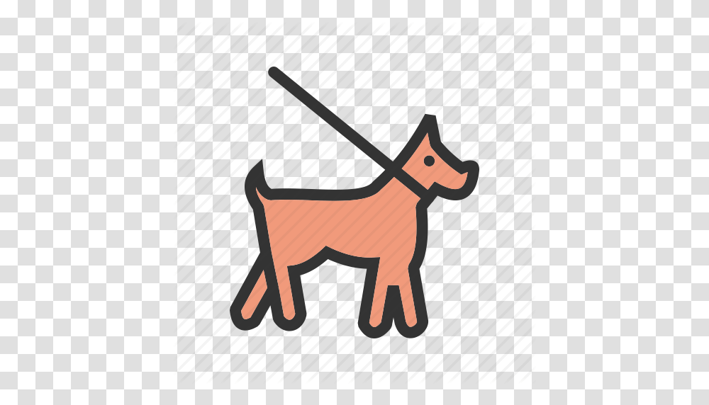 Bulldog Collar Dog Lead Leash Puppy Training Icon, Mammal, Animal, Den, Wildlife Transparent Png