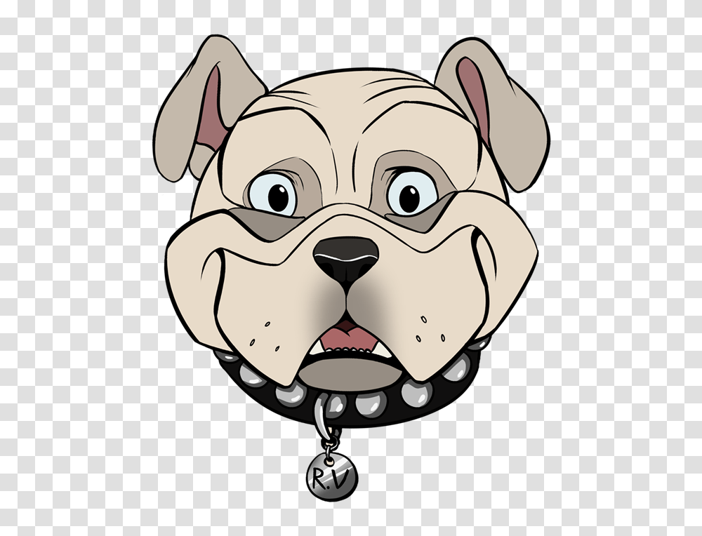 Bulldog Face Image, Snout, Pet, Canine, Animal Transparent Png