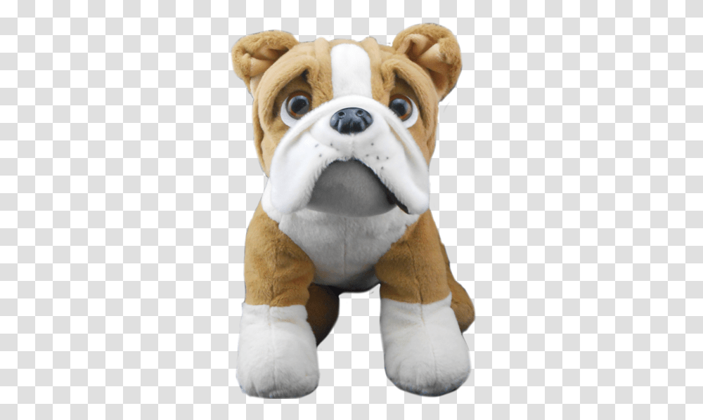 Bulldog Stuffed Toy, Snout, Plush, Pet, Canine Transparent Png