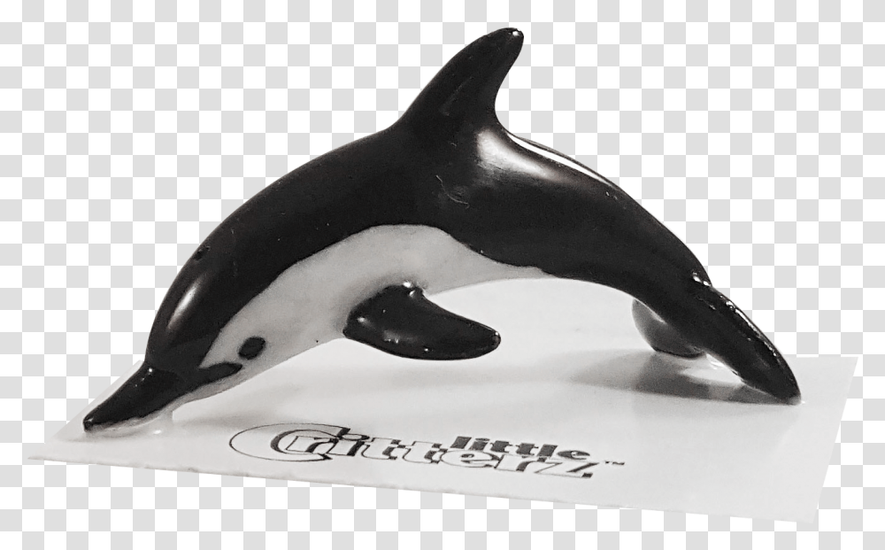 Bullet Common Dolphin Dolphin Bullet Rough Toothed Dolphin, Orca, Mammal, Sea Life, Animal Transparent Png