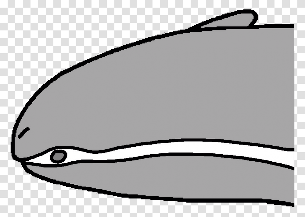 Bullet Drawing Shooting Registeel, Animal, Sea Life, Mammal, Whale Transparent Png