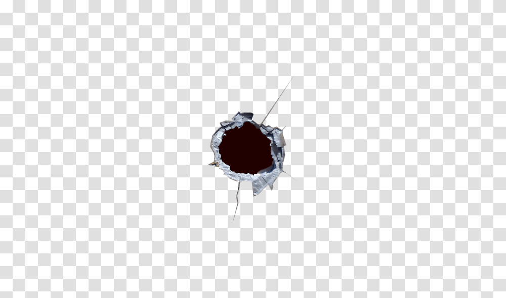 Bullet Hole, Weapon, Insect, Invertebrate, Animal Transparent Png