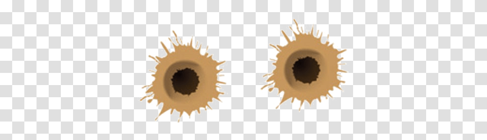 Bullet Holes Free Image Sunflower, Stain, Indoors Transparent Png