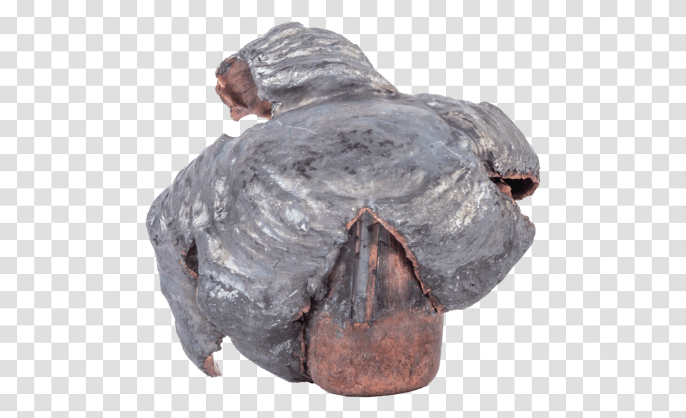 Bullet Impact, Fossil, Soil, Archaeology, Turtle Transparent Png