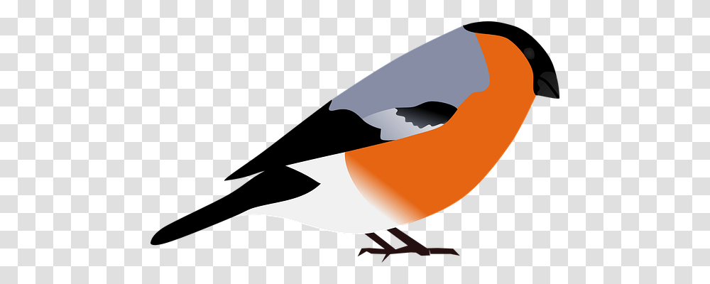 Bullfinch Animals, Axe, Logo Transparent Png