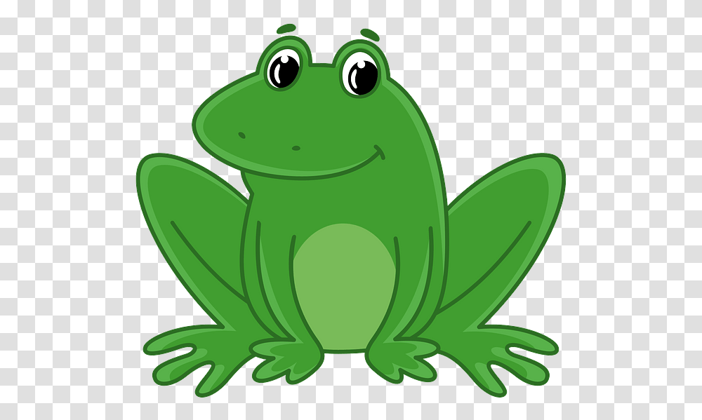 Bullfrog, Amphibian, Wildlife, Animal, Tree Frog Transparent Png