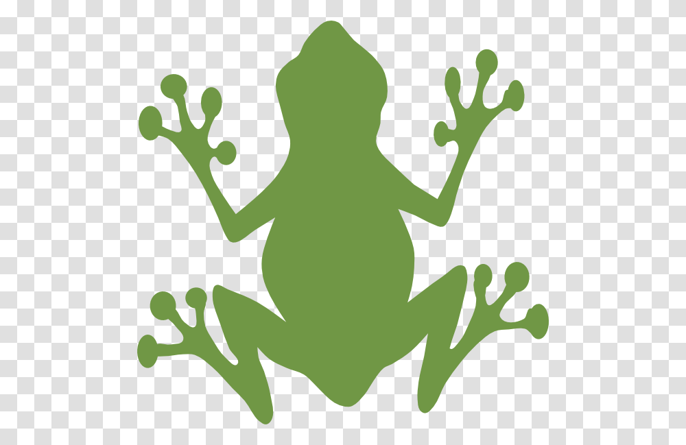 Bullfrog Clipart, Amphibian, Wildlife, Animal, Painting Transparent Png