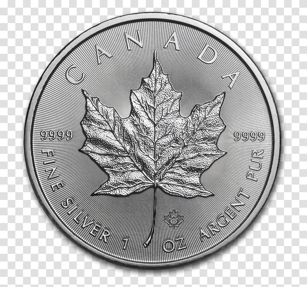 Bullionmark Accredited Certified Gold Silver 1oz Silver Maple Leaf 2020, Cat, Pet, Mammal, Animal Transparent Png