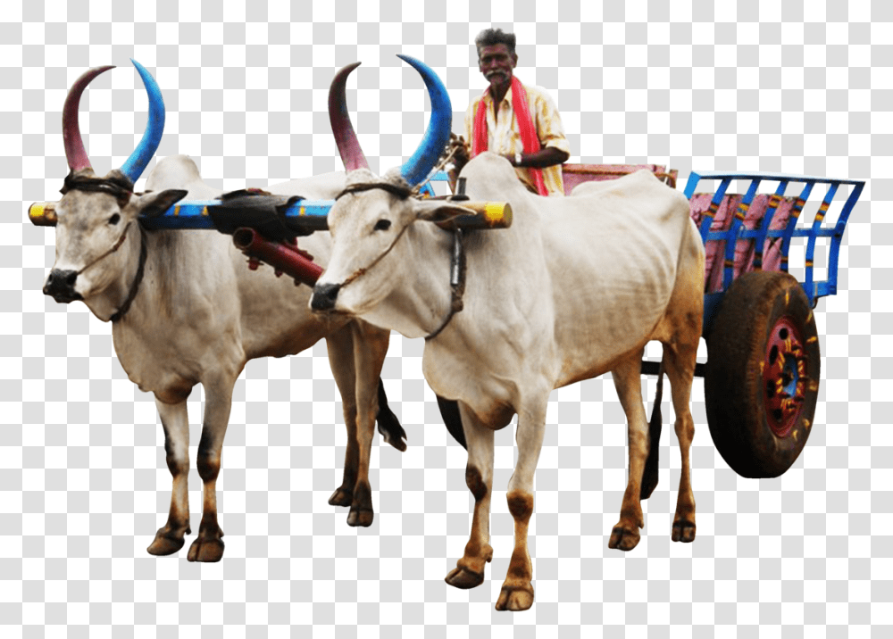 Bullock Cart Image, Mammal, Animal, Cow, Cattle Transparent Png