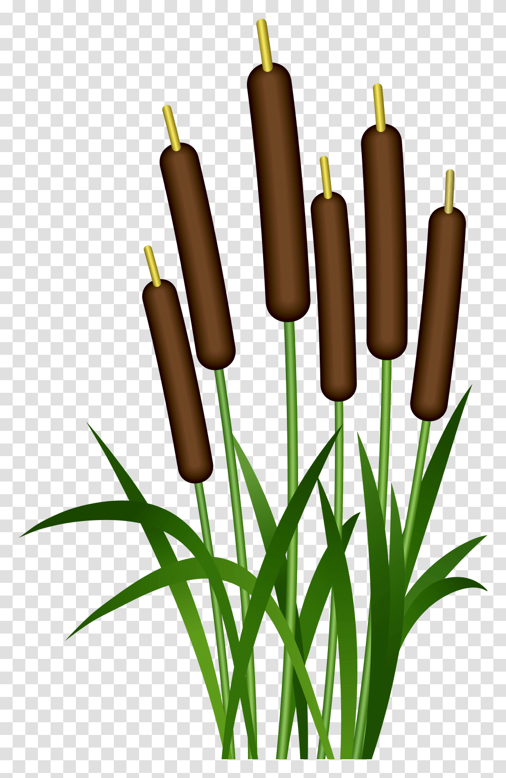 Bulrush Clip Art, Musical Instrument, Chime, Windchime, Plant Transparent Png