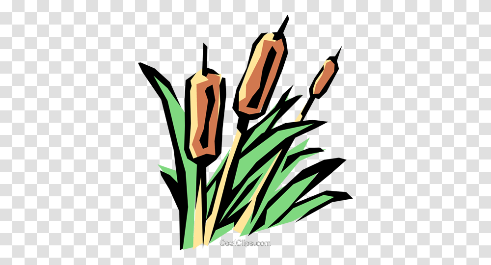 Bulrushes Royalty Free Vector Clip Art Illustration, Plant, Flower, Blossom, Weapon Transparent Png