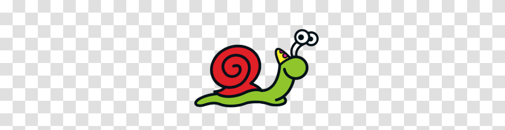 Bumba Sligo The Snail, Animal, Invertebrate, Spiral, Zoo Transparent Png