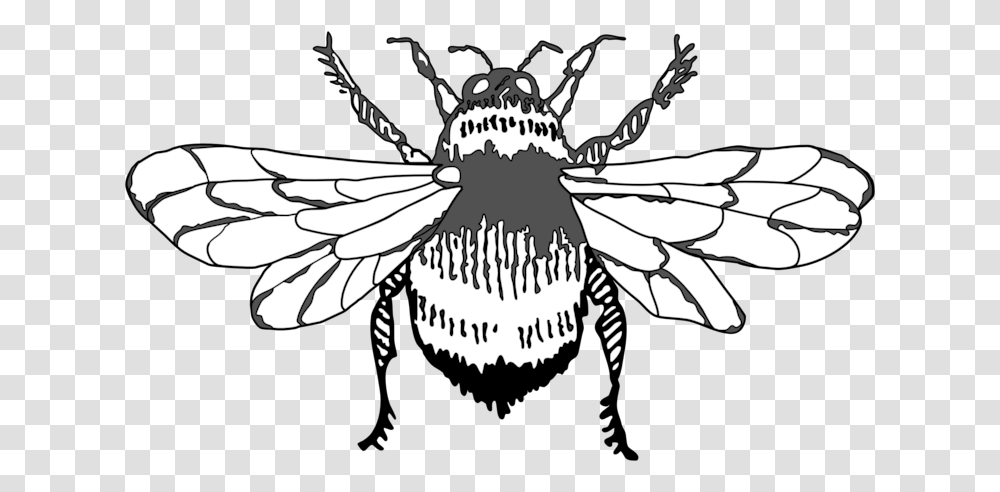 Bumble Bee Graphic Art Icon Design Illustration Vector House Fly, Insect, Invertebrate, Animal, Wasp Transparent Png