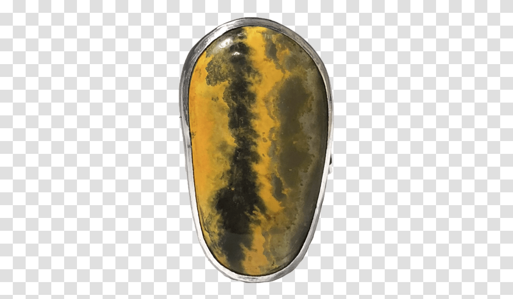 Bumble Bee Jasper Emma Marty Amber, Plant, Food, Fruit, Painting Transparent Png