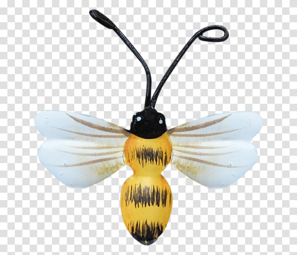 Bumble Bees Honey Bees Clip Art Bees Bee Pictures Honeybee, Animal, Invertebrate, Insect, Fish Transparent Png