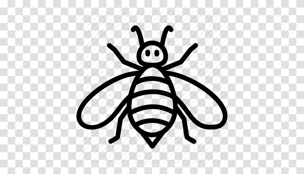 Bumblebee Cartoon Bee Fly Honey Bee Insect Icon, Invertebrate, Animal, Cockroach, Wasp Transparent Png