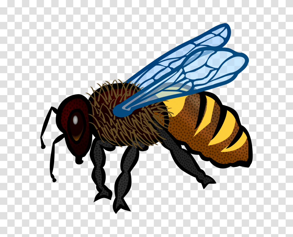 Bumblebee Insect Color Honey Bee, Invertebrate, Animal, Wasp, Hornet Transparent Png