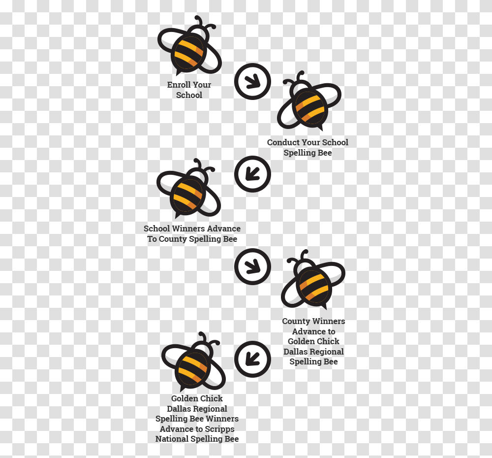 Bumblebee, Alphabet, Number Transparent Png