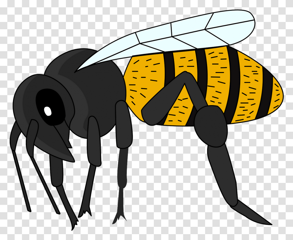 Bumblebee, Wasp, Insect, Invertebrate, Animal Transparent Png