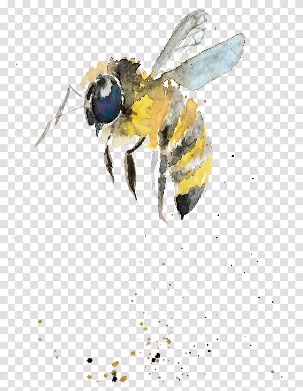 Bumblebee Watercolor Painting Drawing Insect Watercolor Watercolor Bumble Bee, Apidae, Invertebrate, Animal, Honey Bee Transparent Png
