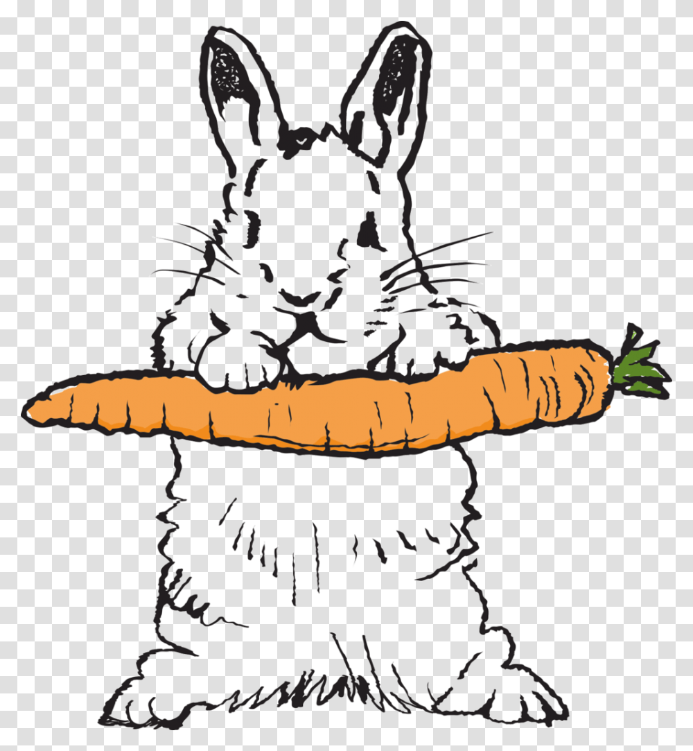 Bumbles Bunny Logo Domestic Rabbit, Plant, Carrot, Vegetable, Food Transparent Png