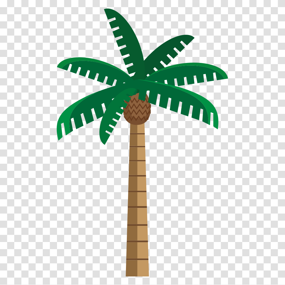 Buncee, Plant, Tree, Leaf, Palm Tree Transparent Png