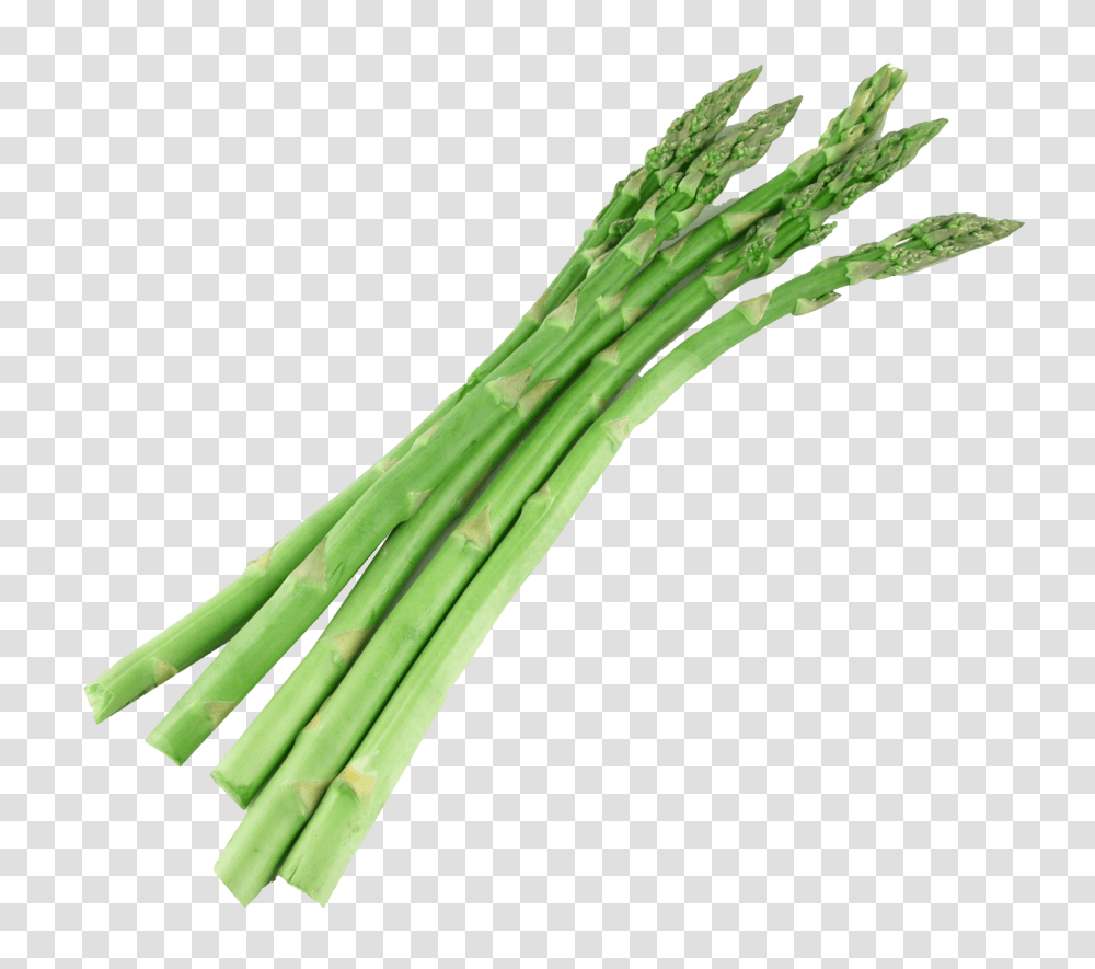 Bunch Of Asparagus, Plant, Vegetable, Food Transparent Png