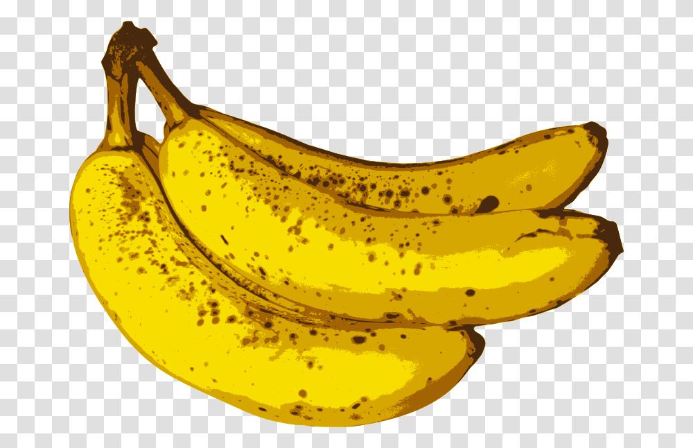 Bunch Of Bananas Banana Fruit, Plant, Food Transparent Png