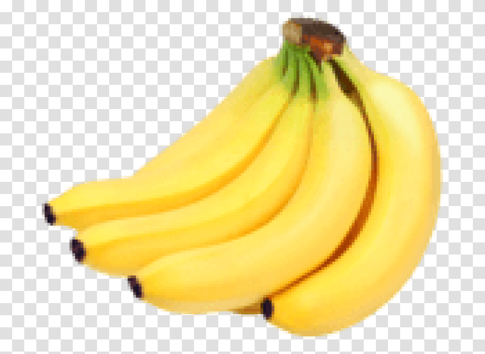 Bunch Of Bananas Clipart Photo Clipart Bunch Of Banana, Plant, Fruit, Food Transparent Png