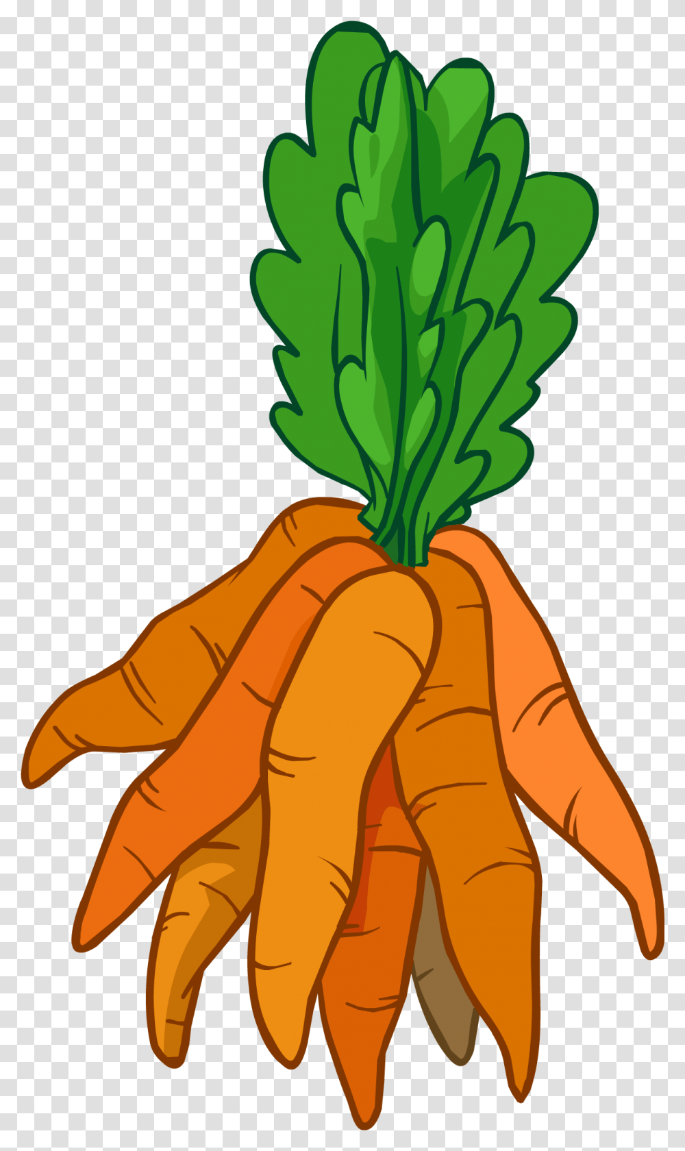Bunch Of Carrots Clipart, Plant, Vegetable, Food, Root Transparent Png