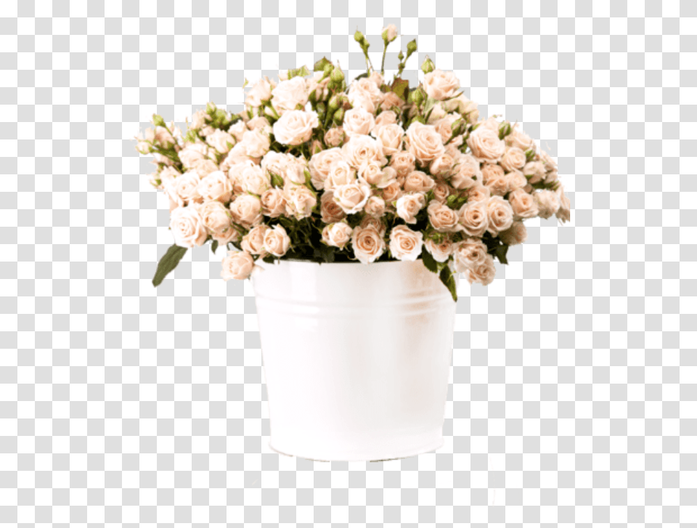 Bunch Of Creamy Roses In A Bucket Over White Plj554y Flowerpot, Plant, Blossom, Flower Arrangement, Flower Bouquet Transparent Png