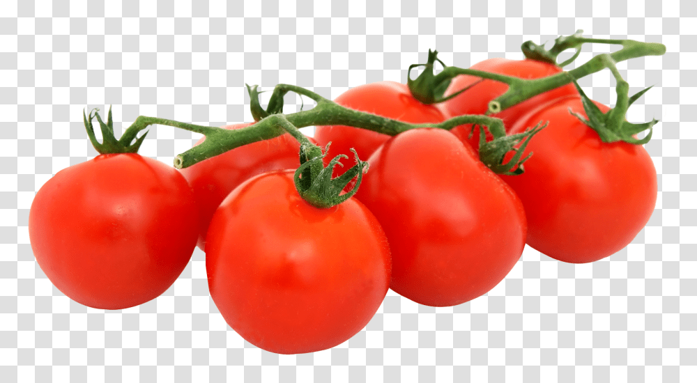 Bunch Of Fresh Tomatoes Image, Vegetable, Plant, Food, Dynamite Transparent Png