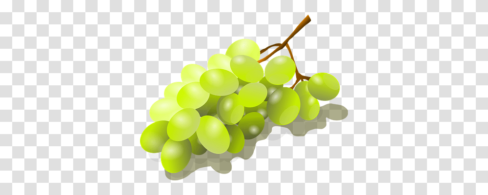 Bunch Of Grapes Food, Plant, Fruit, Balloon Transparent Png