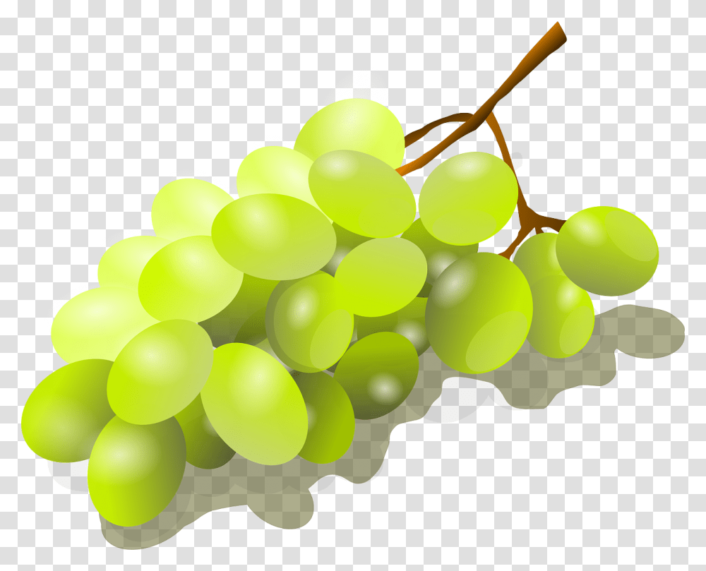 Bunch Of Grapes, Plant, Fruit, Food, Balloon Transparent Png