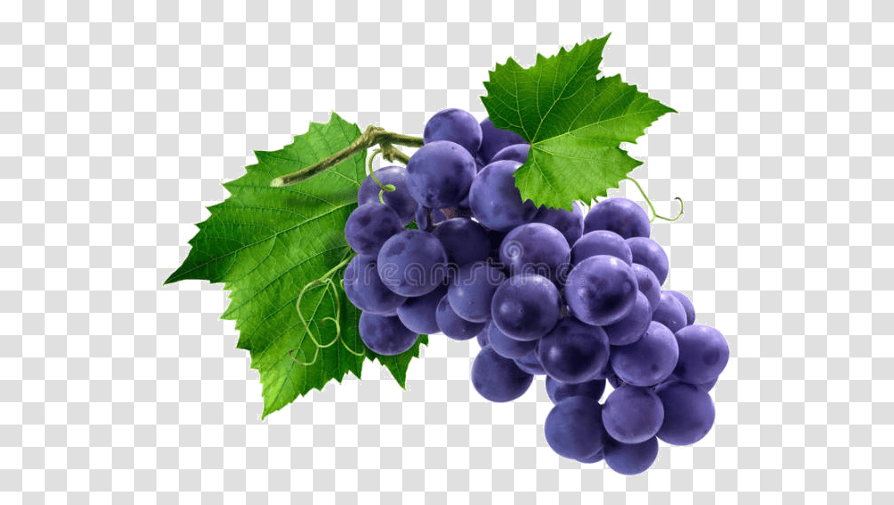 Bunch Of Purple Grapes, Plant, Fruit, Food, Leaf Transparent Png