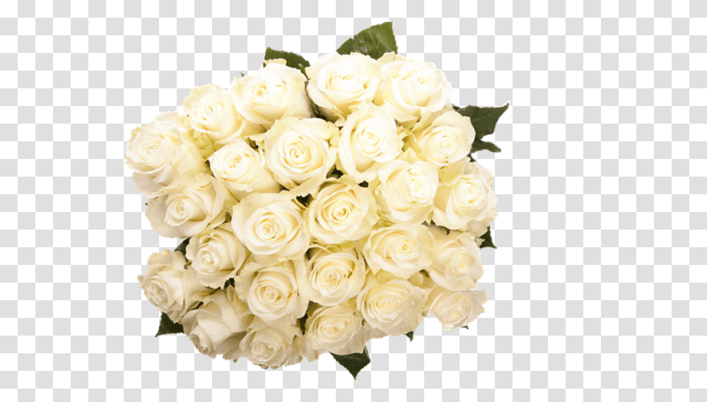 Bunch Of White Rose, Flower, Plant, Blossom Transparent Png
