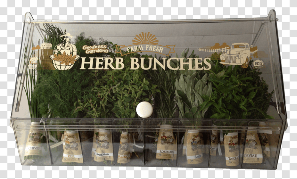 Bunched Herbs, Shop, Plant, Food, Person Transparent Png