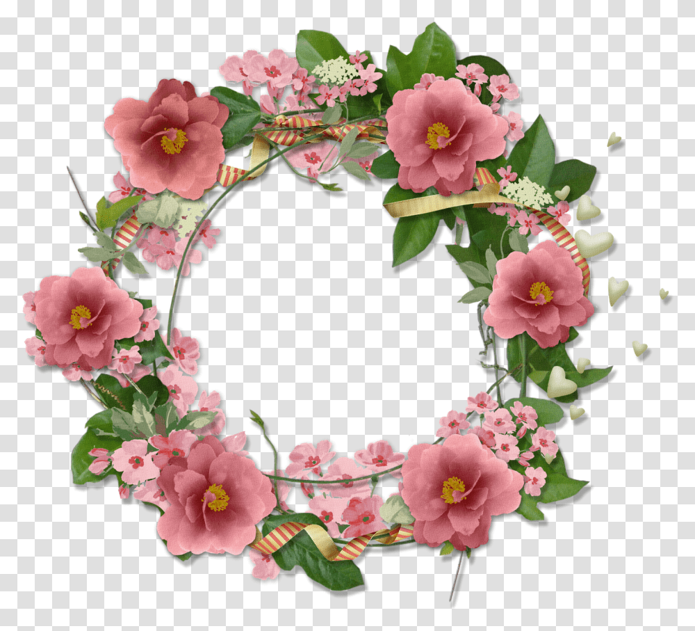 Bunga Free, Plant, Flower, Blossom, Hibiscus Transparent Png