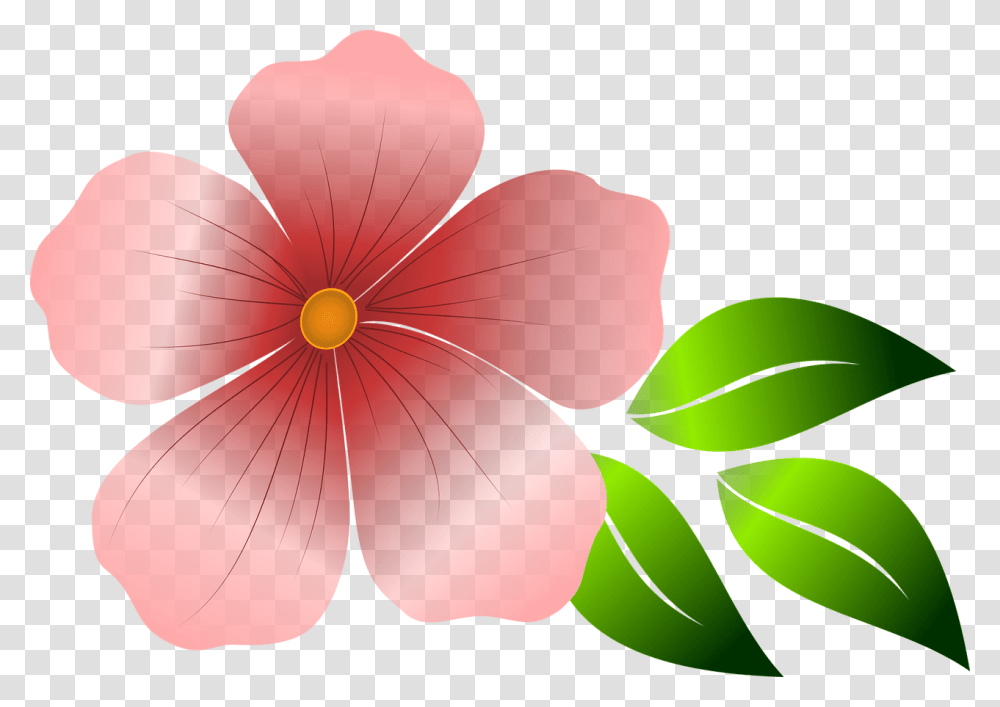 Bunga, Petal, Flower, Plant, Blossom Transparent Png
