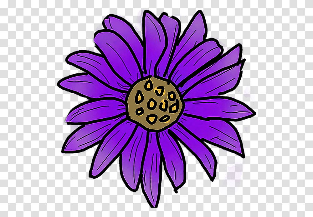 Bunga Purple Rose Clipart Bunga African Daisy Clip Art, Plant, Flower, Blossom, Daisies Transparent Png