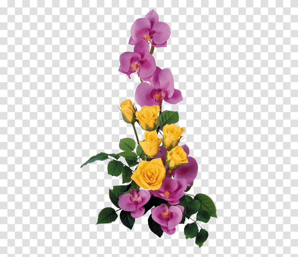 Bunga Splash, Plant, Flower, Blossom, Flower Arrangement Transparent Png