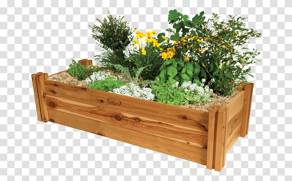 Bunnings Raised Garden Beds, Potted Plant, Vase, Jar, Pottery Transparent Png