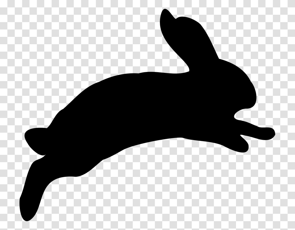 Bunny 960, Gray, World Of Warcraft Transparent Png