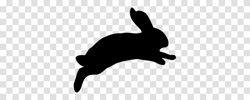 Bunny Gray, World Of Warcraft Transparent Png